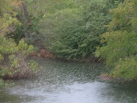 20100206 572.JPG